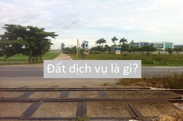 Đất dịch vụ là gì?